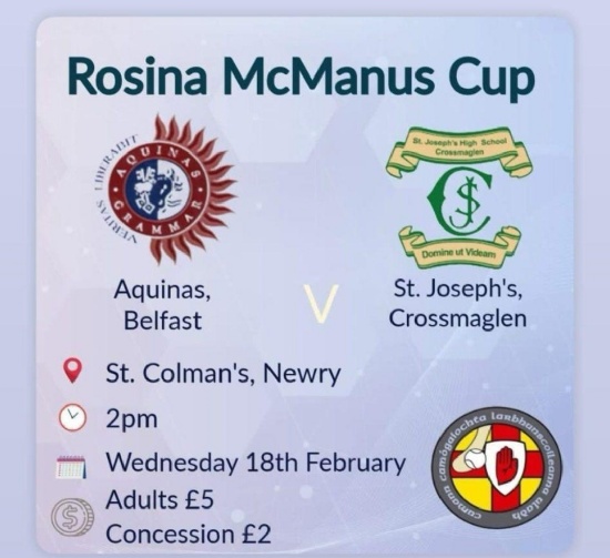 Senior Camogie girls in the final of Rosina McManus Cup.